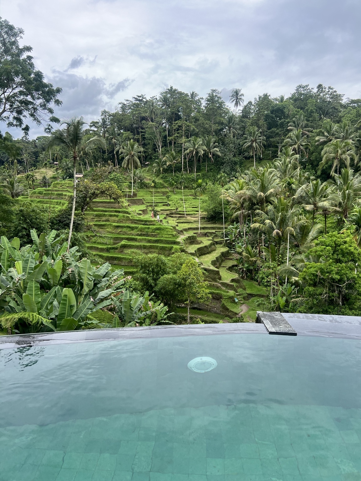 Piscina diante dos terraços de arroz em Bali