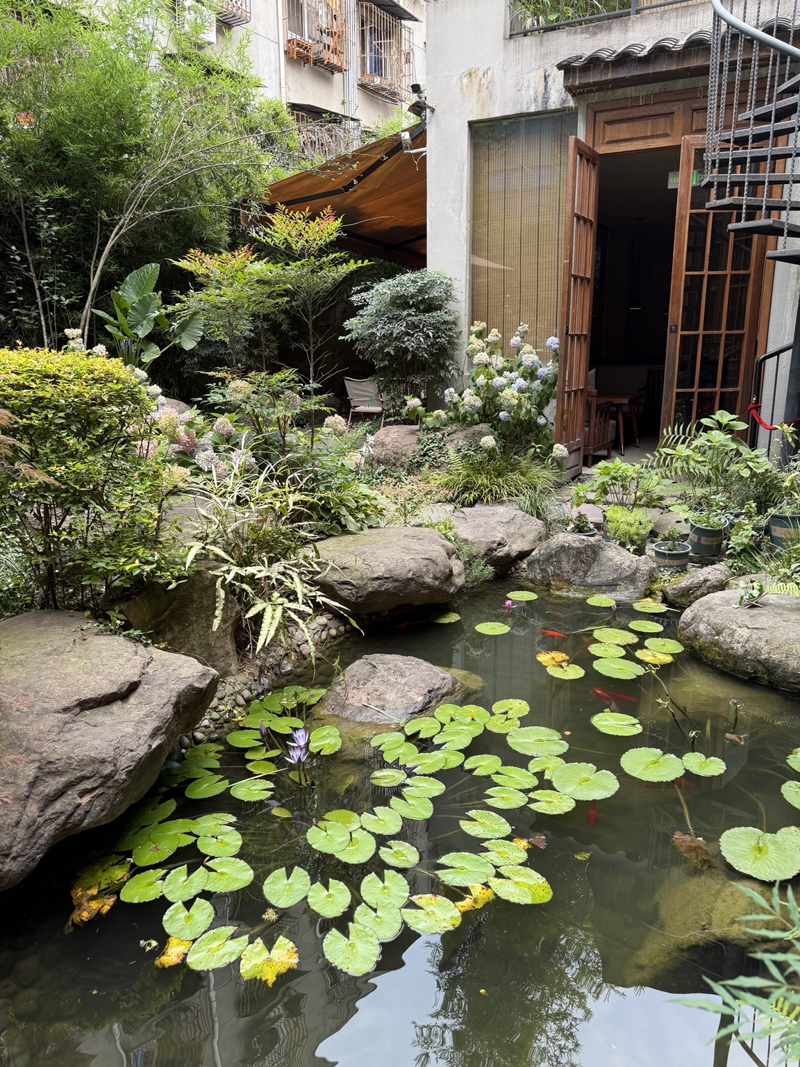 Jardim com lago e carpas no hotel em Chengdu